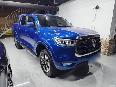 2019 Great Wall Pao 2.0T Automatic Gasoline 4WD Comfort GW4C20B, фото 4, лот 10248897