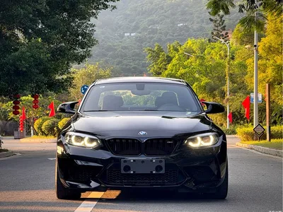 2018 BMW M2 Thunder Edition, фото 2, лот 11571526