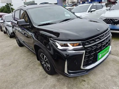 2024 Dongfeng Fengxing T5 Golden Age 1.6L CVT Dream Chaser 5-seater, фото 4, лот 11158818