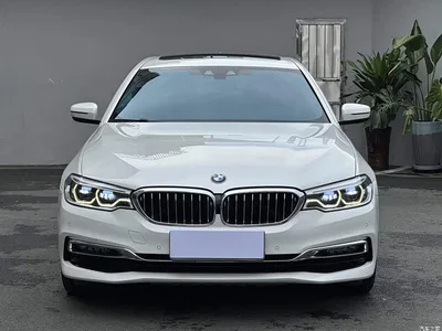 2019 BMW 5 Series New Energy Facelift 530Le Luxury Package, фото 2, лот 10474175