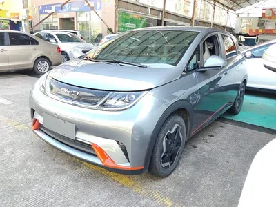 2021 BYD Dolphin 405km Freedom Edition, фото 1, лот 10264169