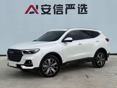2023 Haval H6 National Trend Edition 1.5T Automatic Champion, фото 1, лот 10283144