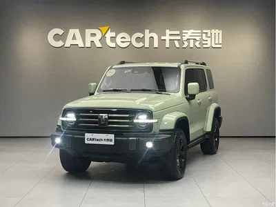 2021 Tank 300 Urban Edition 2.0T Stylish, фото 1, лот 11247243