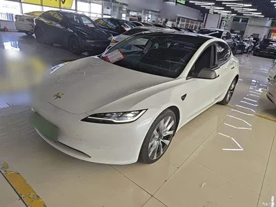 2025 Tesla Model 3 Model Rear-Wheel Drive Edition, фото 1, лот 10370405