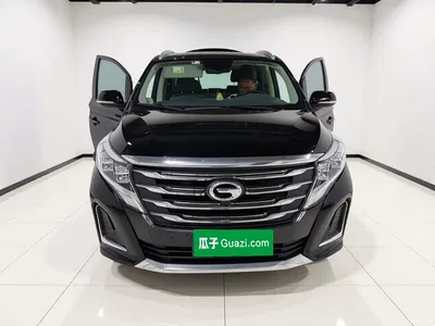 2020 GAC Trumpchi Trumpchi M8 390T Prestige, фото 2, лот 10417364
