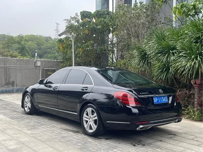 2008 Mercedes-Benz S-Class S 300 L Business, фото 3, лот 10268639