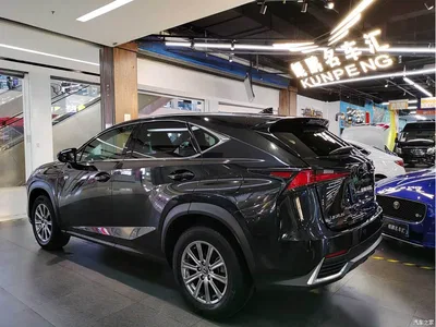 2020 Lexus NX 200 FWD Sharp Edition China VI, фото 3, лот 10318141