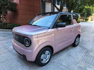 2023 Geely Galaxy Panda Mini 200km Endurance Bear, фото 2, лот 10432311