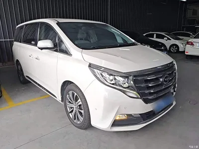 2018 GAC Trumpchi Trumpchi M8 320T Flagship Edition, фото 4, лот 10425014