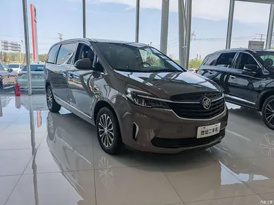 2022 Buick GL8 Land Business Class 652T Luxury, фото 3, лот 11521913