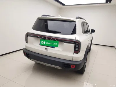 2024 Haval Big Dog 1.5T DCT Border Collie Edition, фото 4, лот 10361718