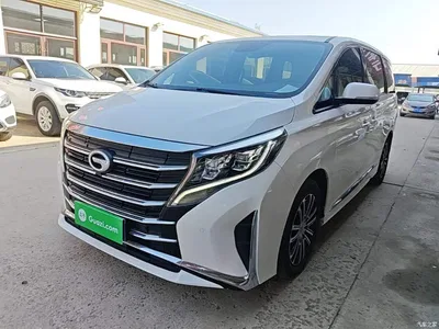 2021 GAC Trumpchi Trumpchi M8 Leading Show Series 390T Prestige Edition, фото 1, лот 11579431