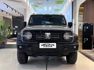 2025 Tank 300 2.0T Challenger, фото 2, лот 10345141