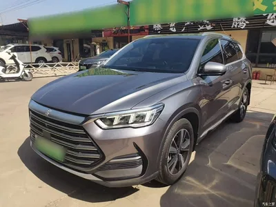 2022 BYD Song Pro New Energy DM-i 110km Flagship, фото 2, лот 10674949