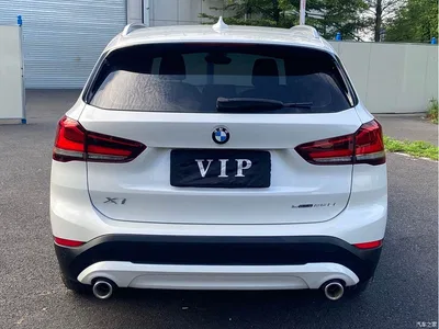 2020 BMW X1 sDrive25Li Leading Model, фото 4, лот 10466322