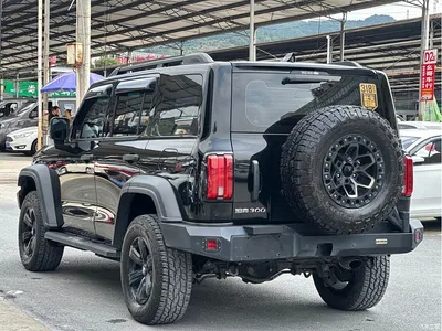 2021 Tank 300 Off-road Version 2.0T Conqueror, фото 2, лот 10837330