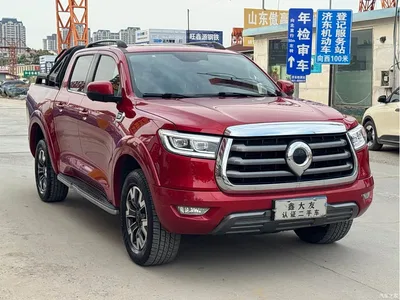 2021 Great Wall Pao 2.0T Passenger Global Edition Automatic Diesel 4WD Premium Standard Box GW4D20M, фото 3, лот 10405734