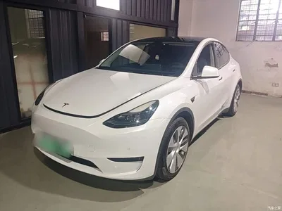 2022 Tesla Model Y Rear-Wheel Drive Version, фото 1, лот 11220199