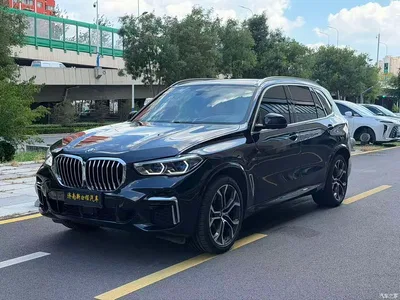 2022 BMW X5 Facelift xDrive 40Li Premium M Sport Package, фото 1, лот 10238110