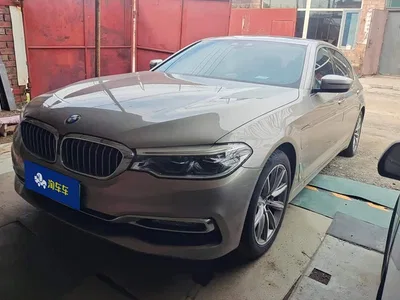 2018 BMW 5 Series New Energy 530Le Luxury Package, фото 1, лот 10615485