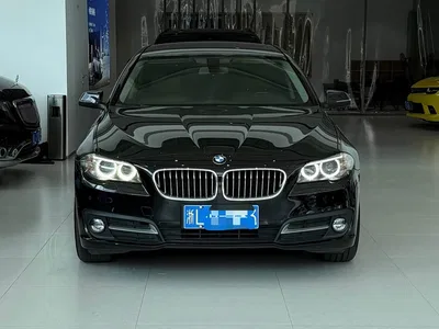 2014 BMW 5 Series 520Li Elegance, фото 2, лот 11174844