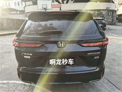 2023 Honda Haoying 240TURBO 2WD Luxury 5-Seater, фото 3, лот 11006985
