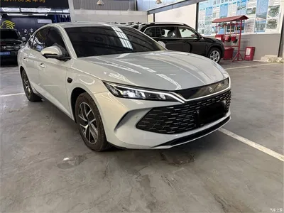 2025 BYD Qin L DM-i Smart Drive Edition 120KM Surpassing, фото 3, лот 10398214