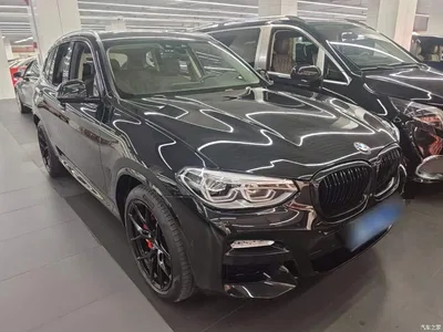 2018 BMW X3 xDrive30i Leading M Sport Package China VI, фото 4, лот 10387832