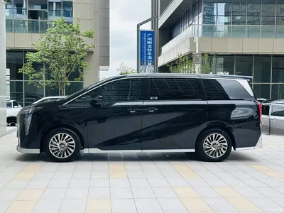 2023 GAC Trumpchi Trumpchi M8 Model Master Series Hybrid Royal Edition, фото 4, лот 10414445