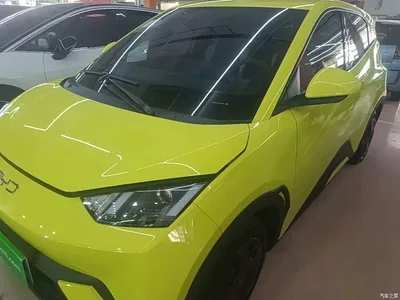 2024 BYD Seagull Glory Edition 305km Vitality Edition, фото 1, лот 11018346