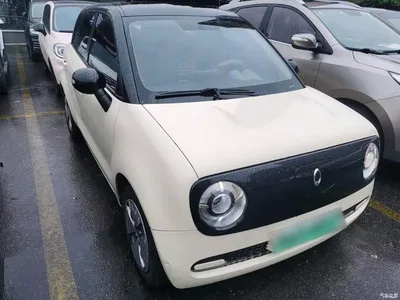 2021 Ora Black Cat 301km Basic Model, фото 4, лот 11249098