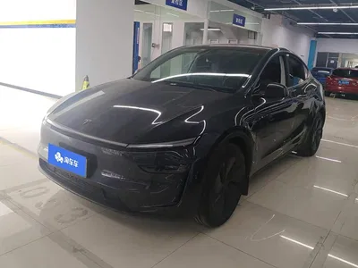 2025 Tesla Model Y Rear-Wheel Drive, фото 1, лот 10764737