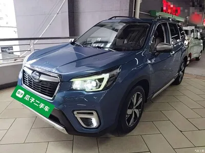 2019 Subaru Forester 2.0i Smart Hybrid Sport, фото 1, лот 10449643