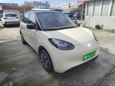 2025 Wuling Motors Wuling Bingo Model 333km Joy Edition, фото 4, лот 10369714