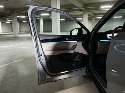 2025 BYD Tang New Energy Smart Driving Edition DM-i 115KM Flagship, фото 3, лот 10907021
