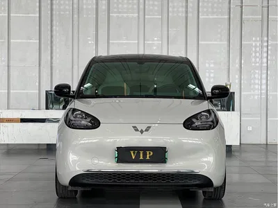 2024 Wuling Motors Wuling Bingo 333km Smart Connect Edition, фото 2, лот 11194597