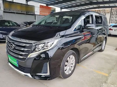 2020 GAC Trumpchi Trumpchi M8 Pilot 390T Premium Edition, фото 1, лот 10421799