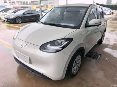 2023 Wuling Motors Wuling Bingo 333km Quick Enjoy Version, фото 1, лот 11241683