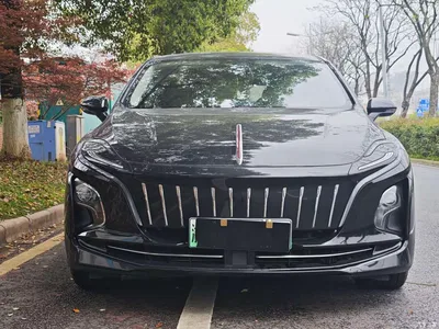 2022 Hongqi E-QM5 431km Charging Enjoyment Edition, фото 2, лот 10288354
