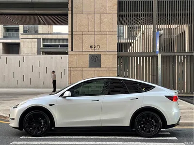 2021 Tesla Model Y Standard Range Rear-Wheel Drive, фото 4, лот 11011667