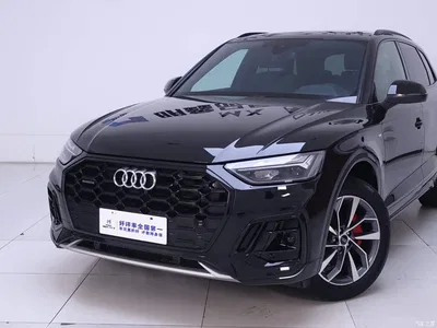 2024 Audi Q5L Model 40 TFSI Luxury Dynamic, фото 3, лот 10238524