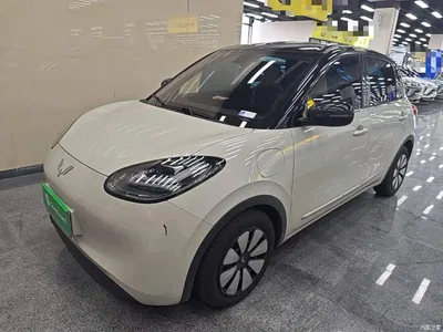 2023 Wuling Motors Wuling Bingo Model 333km Telepathic Connect+ Version, фото 2, лот 10370958