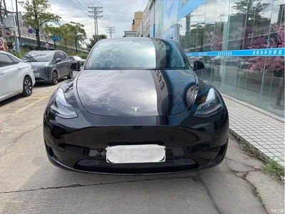 2022 Tesla Model Y Rear-Wheel Drive Version, фото 2, лот 11450702