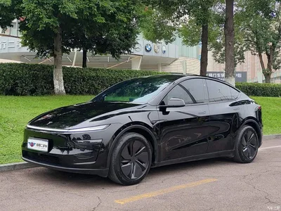 2025 Tesla Model Y Rear-Wheel Drive, фото 1, лот 11537523