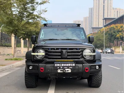 2021 Tank 300 Off-road Version 2.0T Conqueror, фото 2, лот 10808581