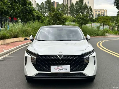 2021 Venucia Big V 260T Idol Edition, фото 2, лот 11153881