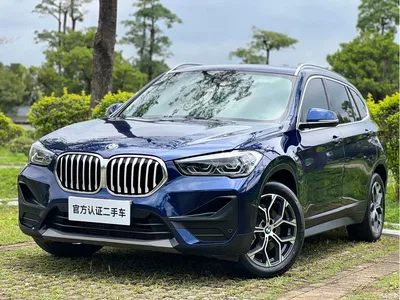 2020 BMW X1 sDrive25Li Leading Model, фото 1, лот 10464991