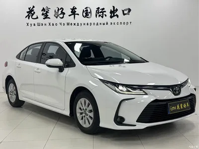 2023 Toyota Corolla 1.5L Pioneer Edition, фото 3, лот 10319983