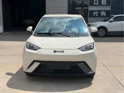 2024 BYD Seagull Glory Edition 305km Vitality Edition, фото 2, лот 10256830