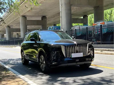 2022 Hongqi E-HS9 690km Qi Xiang Edition (6-seater), фото 3, лот 10289036